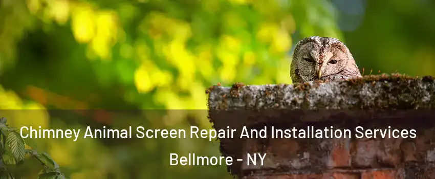 Chimney Animal Screen Repair And Installation Services Bellmore - NY
