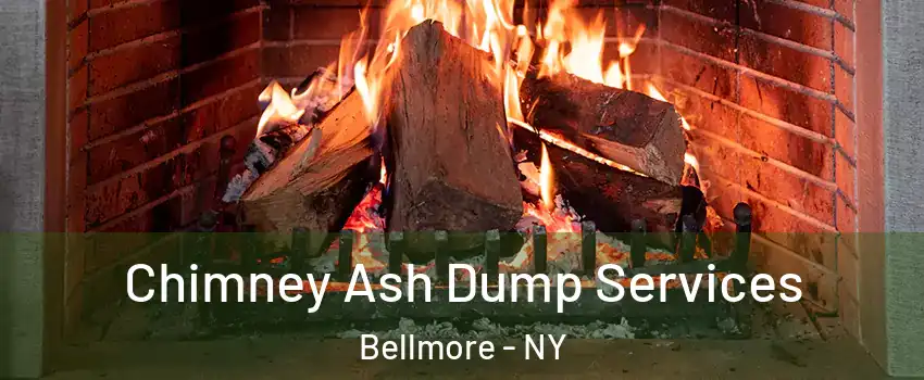 Chimney Ash Dump Services Bellmore - NY