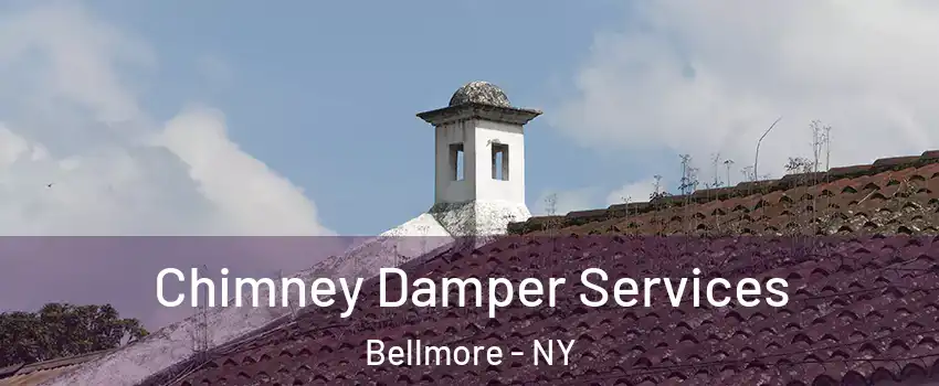  Chimney Damper Services Bellmore - NY