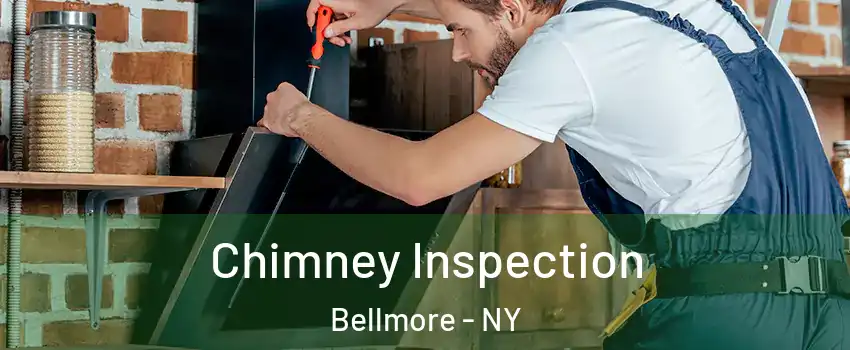 Chimney Inspection Bellmore - NY