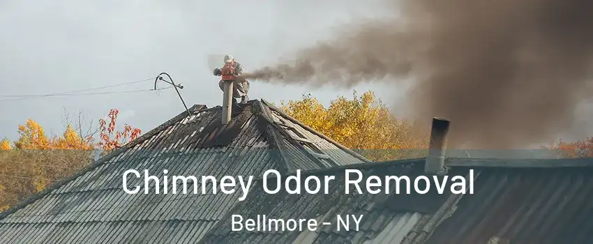  Chimney Odor Removal Bellmore - NY