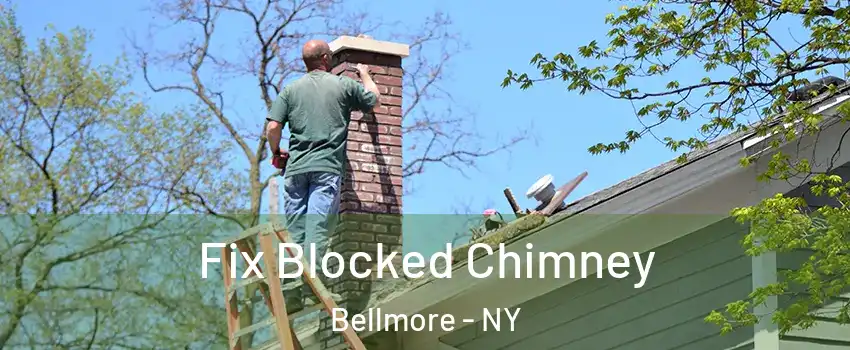  Fix Blocked Chimney Bellmore - NY