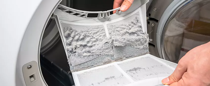 Best Dryer Lint Removal Company in Bellmore, New York