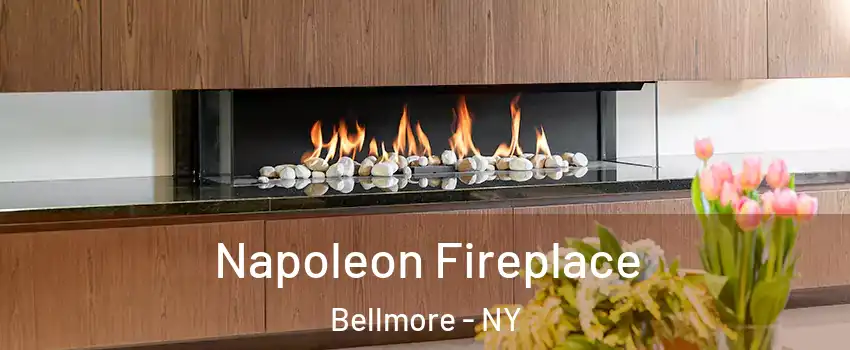 Napoleon Fireplace Bellmore - NY